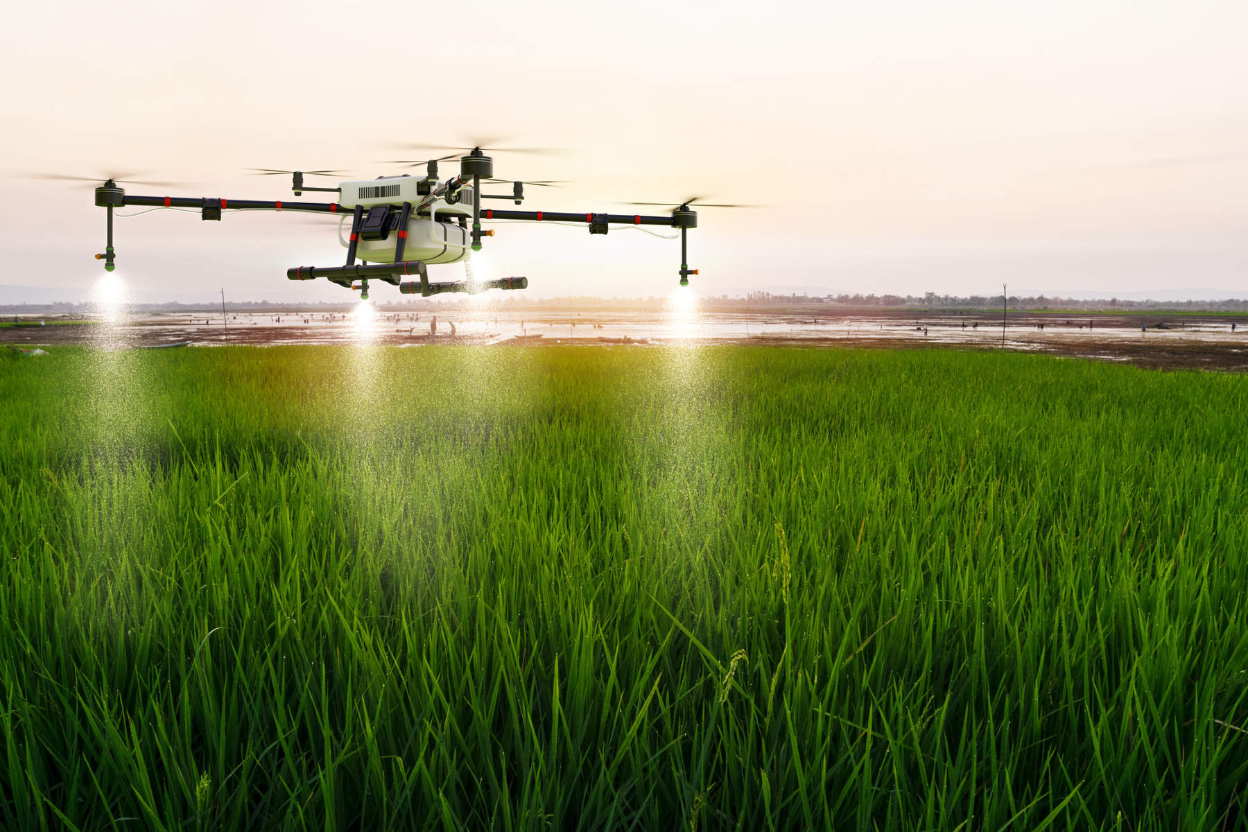 Agricultural Drone Spraying Fertilizer on Field